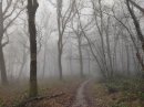 Entre Sauge et Vergongeat